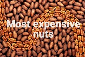 Які горіхи вважаються найдорожчими у світі
