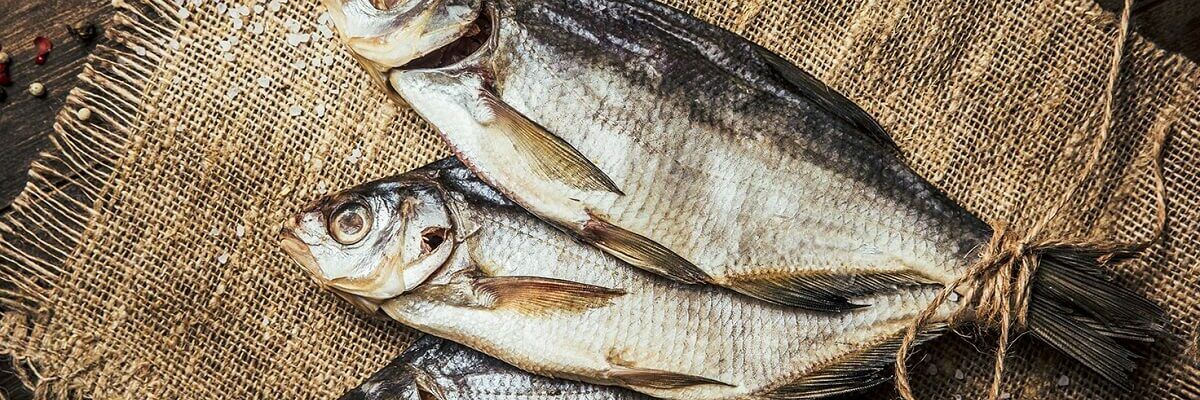 Судак рыба чем полезна | Информация о пользе судака для здоровья и правильного питания